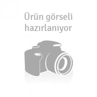 CAREX Renault Europa Ön Aks Sağ