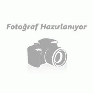 FRANCHTECH Renault 19 Hacbk Stop Sag