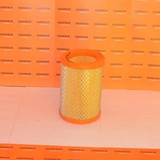 GOLD Hava Filtresi Renault Twingo