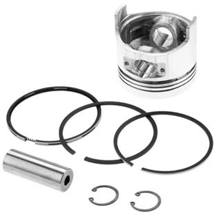GOTZE Piston Segman Takım Laguna N7q Stilod